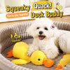 Plush Squeaky Dog Toy Collection