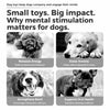 Interactive Rope Tug and Fetch Dog Toys