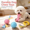 Dog Chew & Play Toys