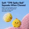 Squeaky Spiky Ball Toy for Dogs