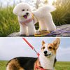 Small Dog Vest Harness for Walks
