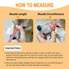 Dog Muzzle with Plastic Frame and Mesh Panel