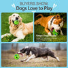 Squeaky Dog Ball Toy for Interactive Play