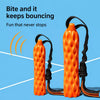 Textured Silicone Tug Stick Dog Toy