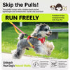Adjustable Vest-Style Dog Harness & Leash Set