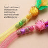 Cat Chew Rope Teaser Toy with Catnip and Feather