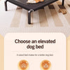 Elevated Mesh Dog Cot for Small to Large Dogs