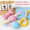 Dog Chew & Play Toys