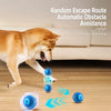 Interactive Electric Bouncing Ball Toy for Dogs
