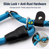Dog Slip Lead for Everyday Walks and Training