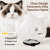 Transparent Cat Recovery Cone