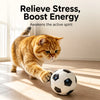 Interactive Cat Ball Toy – 6 cm Sports Ball Design