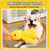 Plush Squeaky Dog Toy Collection