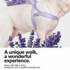 Wraparound Dog Harness