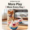 Interactive Dog Toys with Sound and Bouncing Action