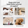 Removable Washable Pet Bed Mat for Dogs and Cats