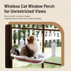 Transparent Capsule Cat Window Bed