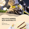 Nylon Vest Harness and Leash for Cats & Small Pets
