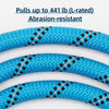 Dog Slip Lead for Everyday Walks and Training