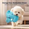 Plush Squeaky Dog Toy
