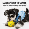 Durable E-TPU Foam Dog Ball Toy for Chewing and Play
