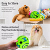 Squeaky Dog Ball Toy for Interactive Play