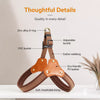 Vest-Style Dog Harness for Small to Medium Dogs