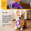 Interactive Dog Tug Ring Toy for Play and Training