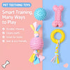 Dog Chew & Play Toys