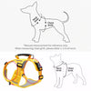 Dog Harness and Leash