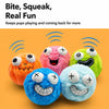 Plush Squeaky Dog Toy Ball