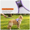 All-in-One Pet Harness and Leash Vest