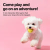 Squeaky Spiky Ball Toy for Dogs