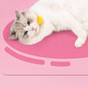 Wooden Cat Teaser Wand with Bell and Colorful Ribbons