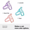 Wraparound Dog Harness