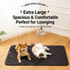 Foam Pet Crate Mat