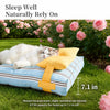 Striped Pet Bed with Removable, Washable Cushion