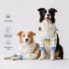 Dog Front-Leg Covering Garment