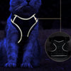 Reflective Nylon Cat Harness and Leash
