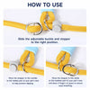 Polyester Dog Slip Lead for Training