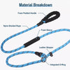 Dog Slip Lead for Everyday Walks and Training