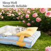 Striped Tatami-Style Pet Bed Mat with Pillow for Cats & Dogs