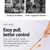 Integrated Dog Collar and Leash with Control Handle
