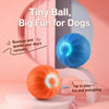 Interactive Electric Bouncing Ball Toy for Dogs
