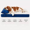Memory Foam Pet Bed for Small Dogs