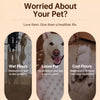 Elevated Mesh Dog Cot for Small to Large Dogs