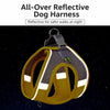 Nylon Dog Vest Harness with Leash