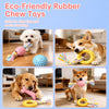 Dog Chew & Play Toys
