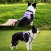 All-in-One Pet Harness and Leash Vest