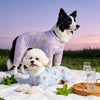 Printed Mesh Four-Leg Dog Shirt for Summer